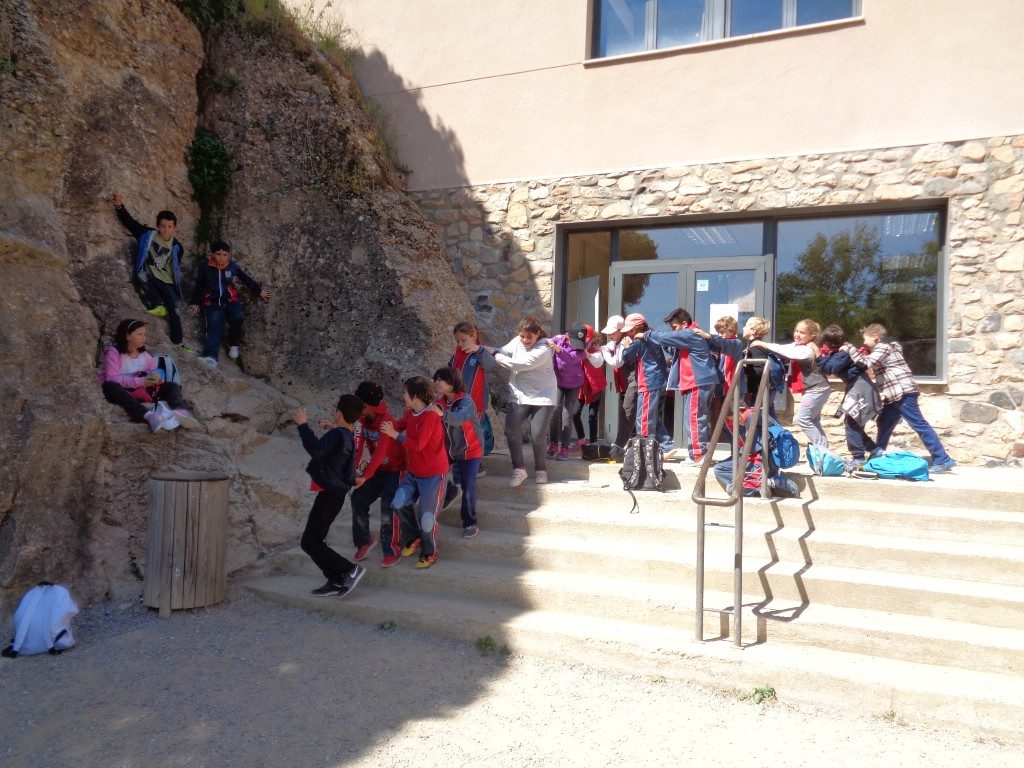 fotos 4rt 626 (Medium)