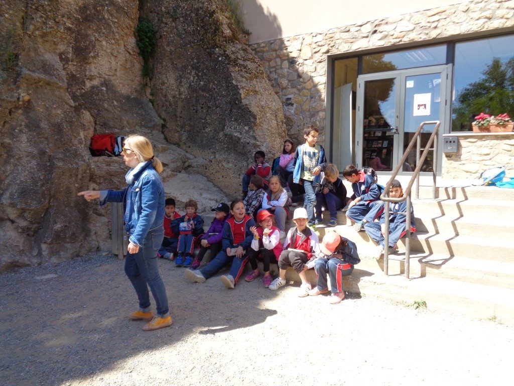 fotos 4rt 628 (Medium)