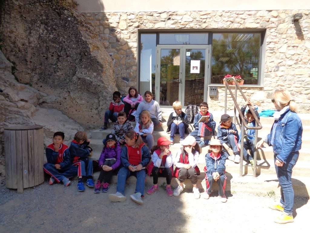 fotos 4rt 629 (Medium)