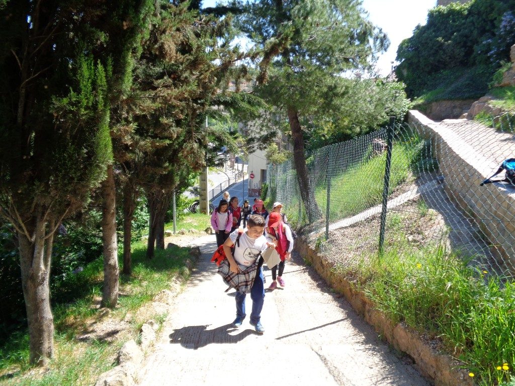 fotos 4rt 630 (Medium) (2)