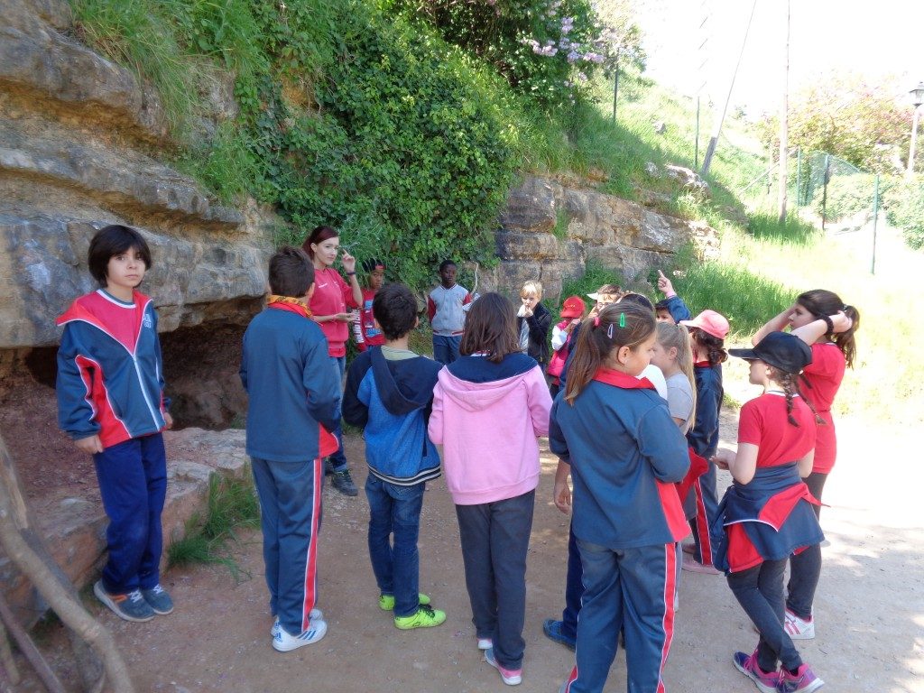 fotos 4rt 631 (Medium)