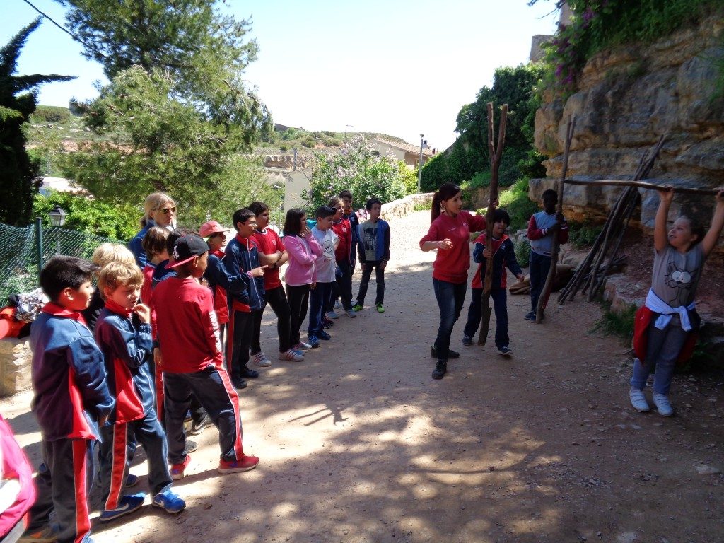 fotos 4rt 633 (Medium)