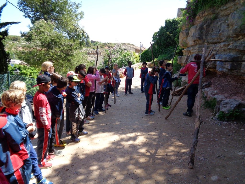 fotos 4rt 634 (Medium)