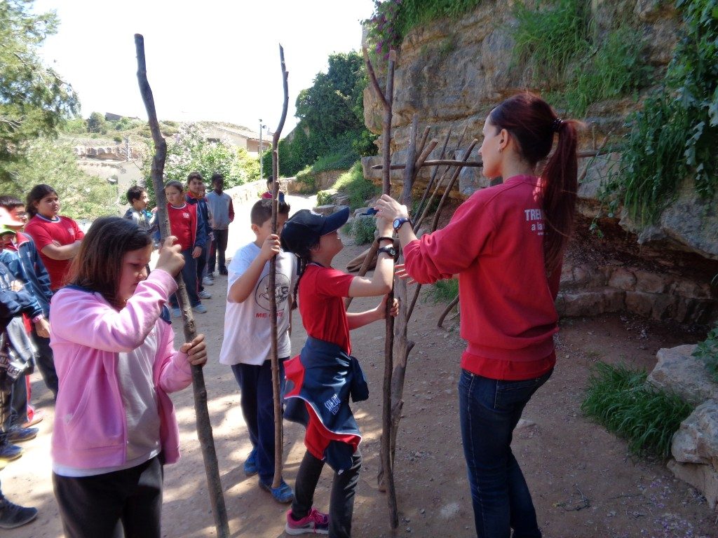 fotos 4rt 635 (Medium)