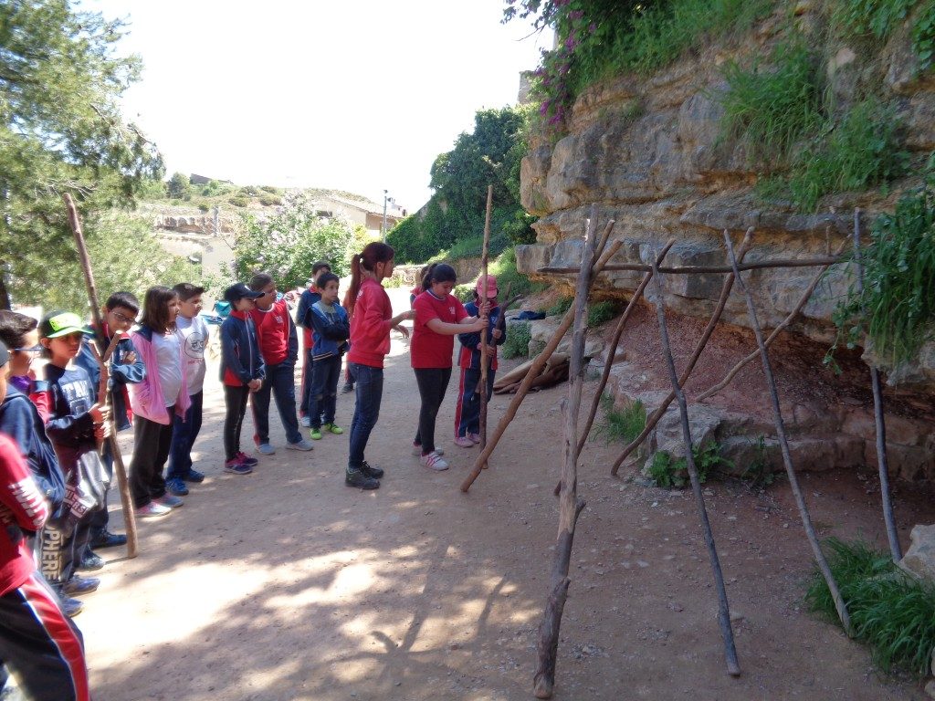 fotos 4rt 636 (Medium)