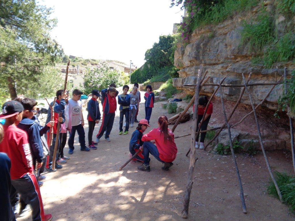 fotos 4rt 637 (Medium)