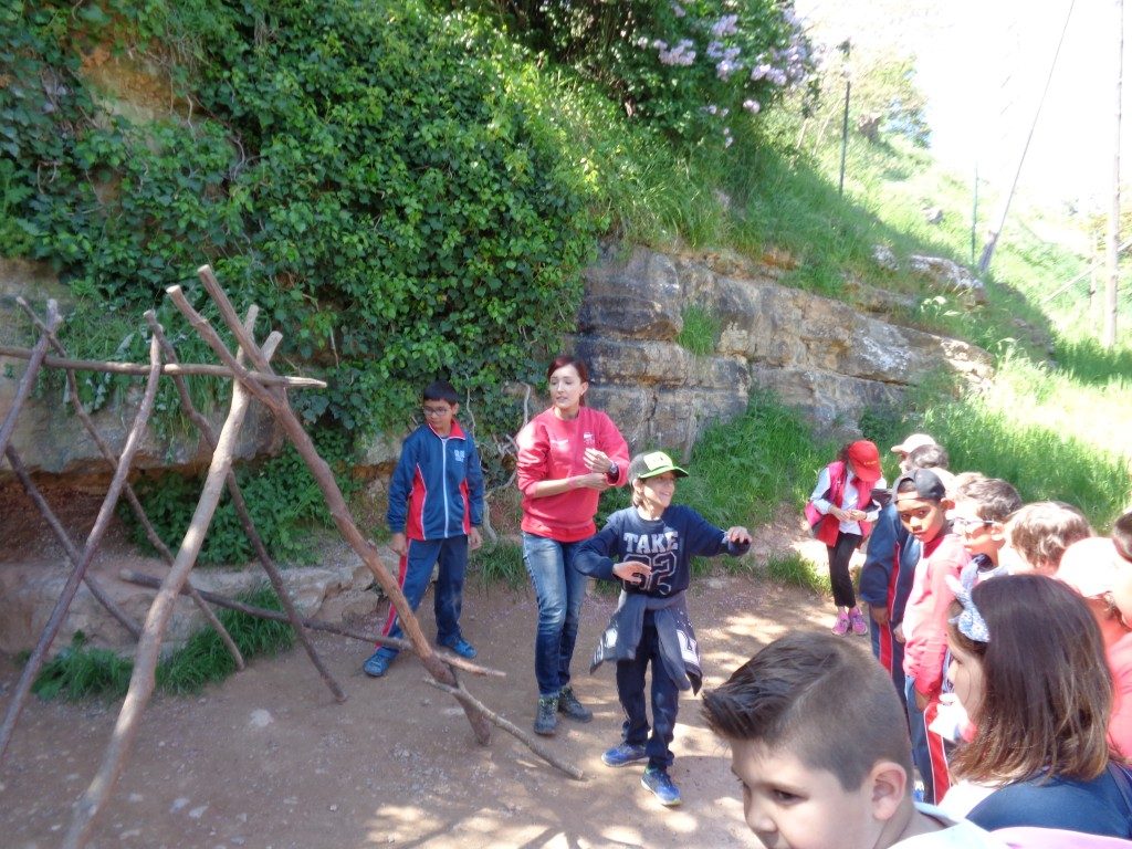 fotos 4rt 639 (Medium)