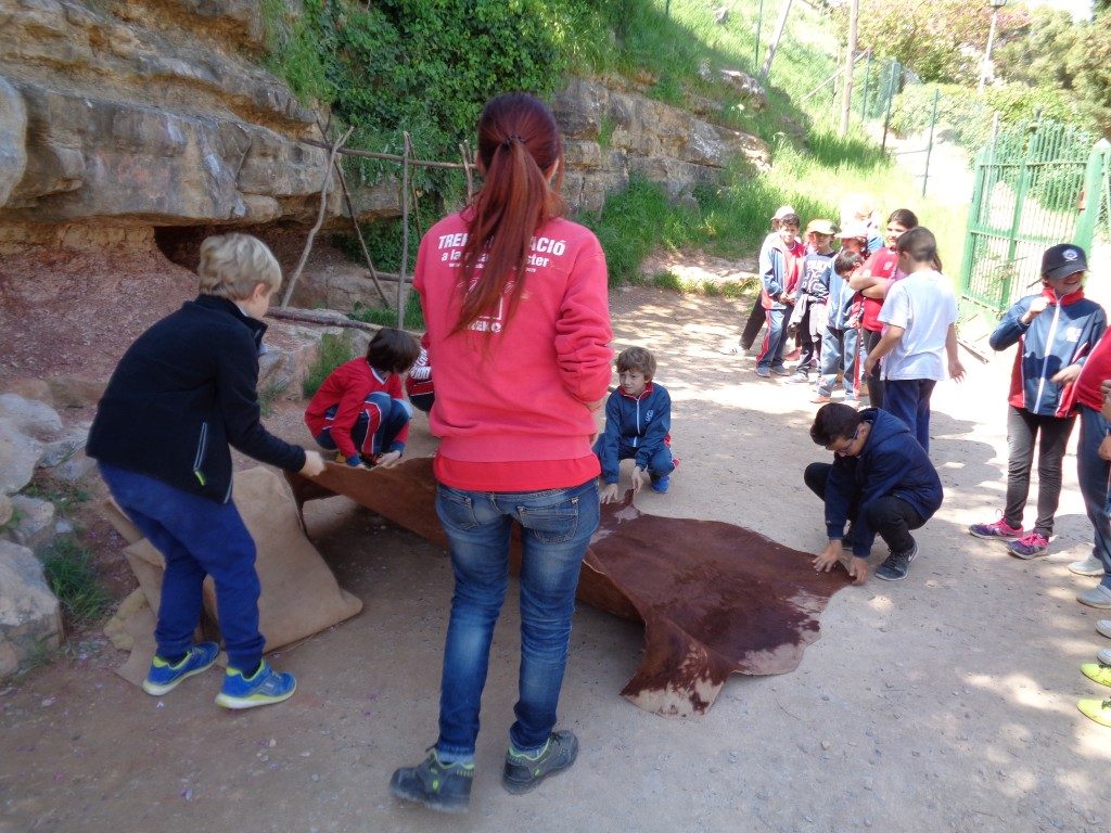 fotos 4rt 640 (Medium)