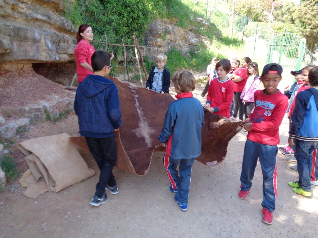 fotos 4rt 641 (Medium)