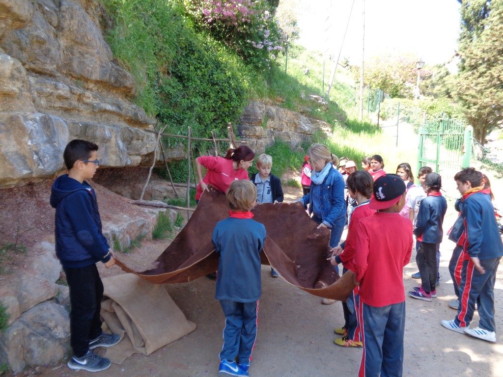 fotos 4rt 642 (Medium)