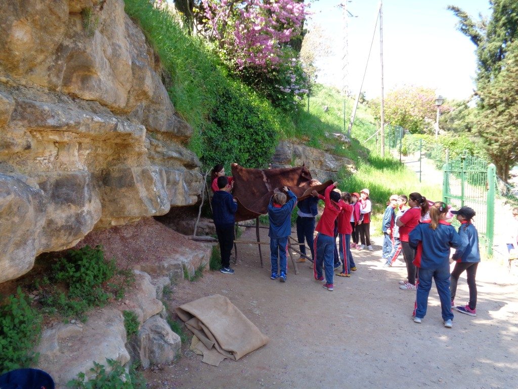 fotos 4rt 643 (Medium)