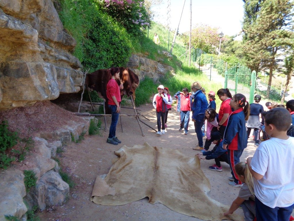 fotos 4rt 644 (Medium)