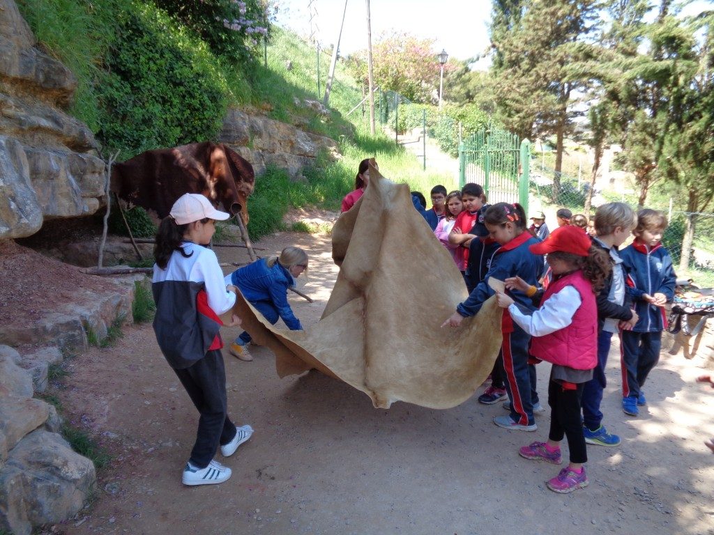 fotos 4rt 645 (Medium)