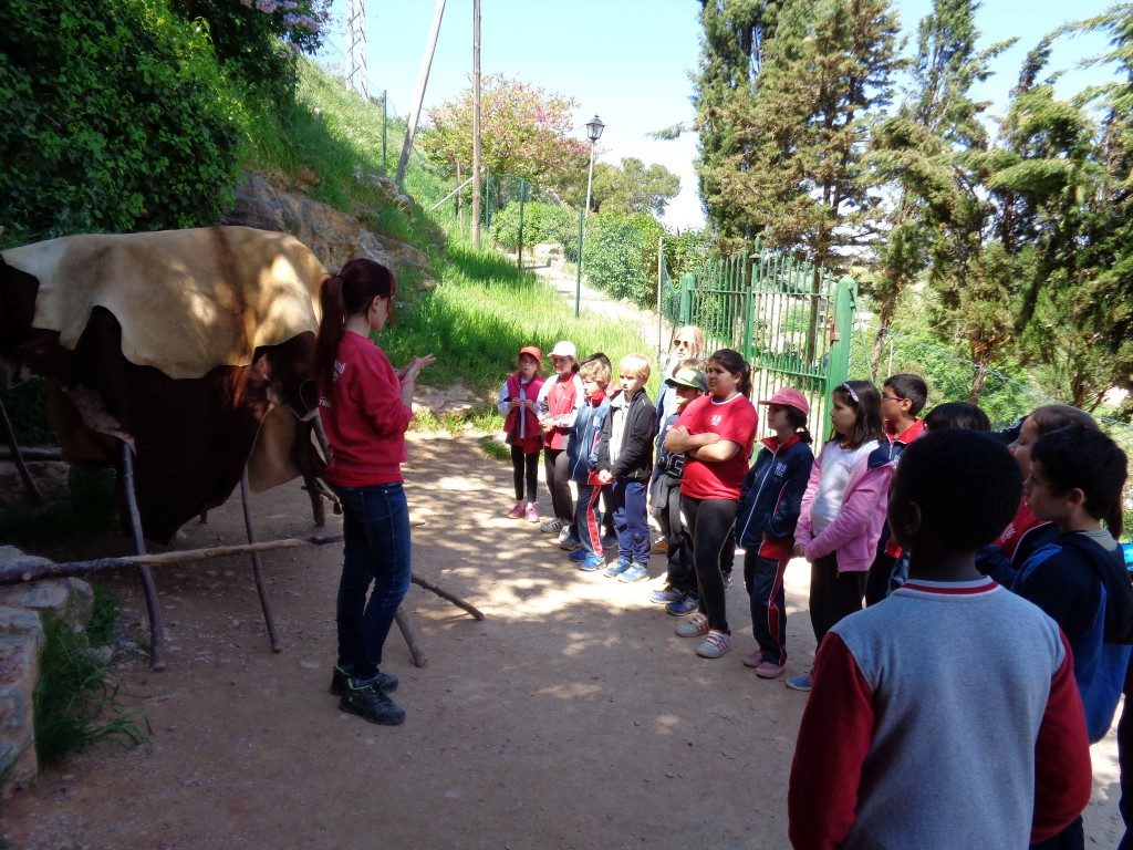 fotos 4rt 646 (Medium)