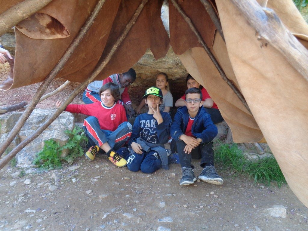 fotos 4rt 649 (Medium)