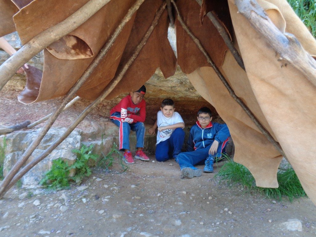 fotos 4rt 650 (Medium)