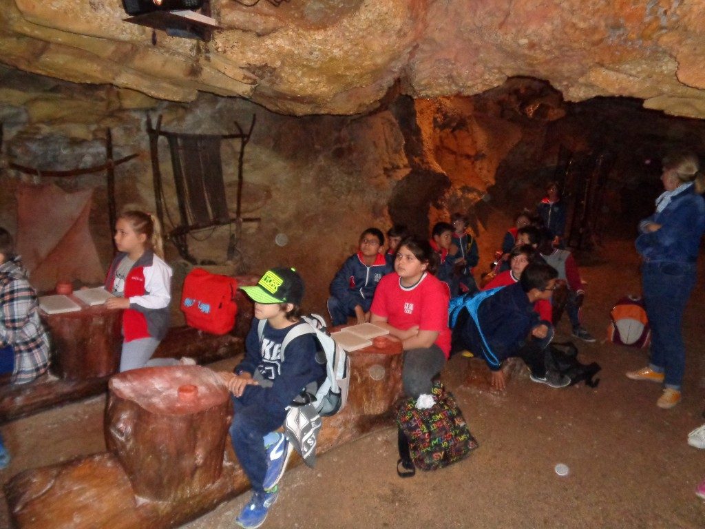 fotos 4rt 656 (Medium)