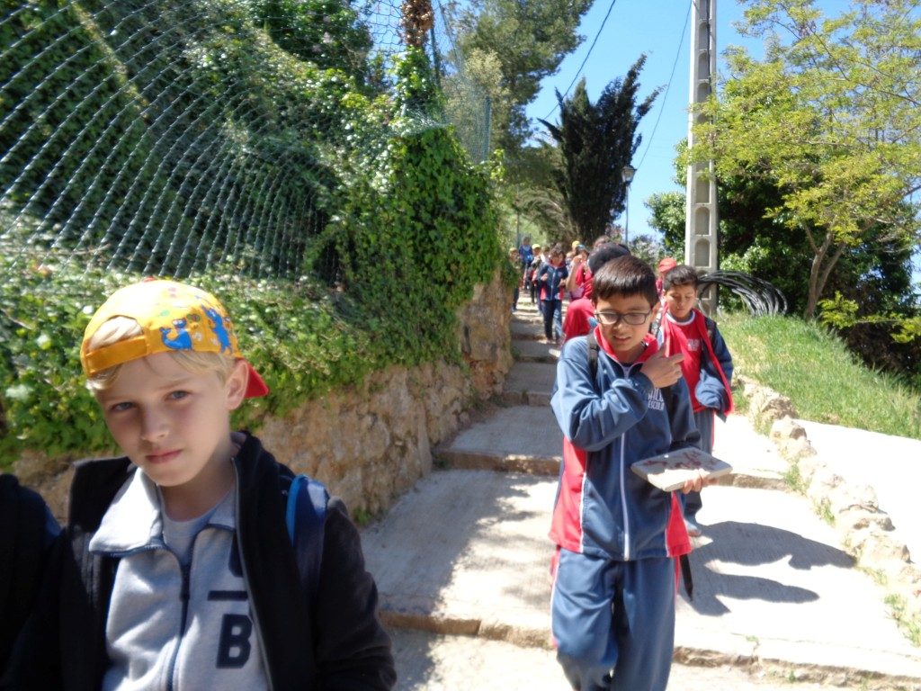 fotos 4rt 669 (Medium)