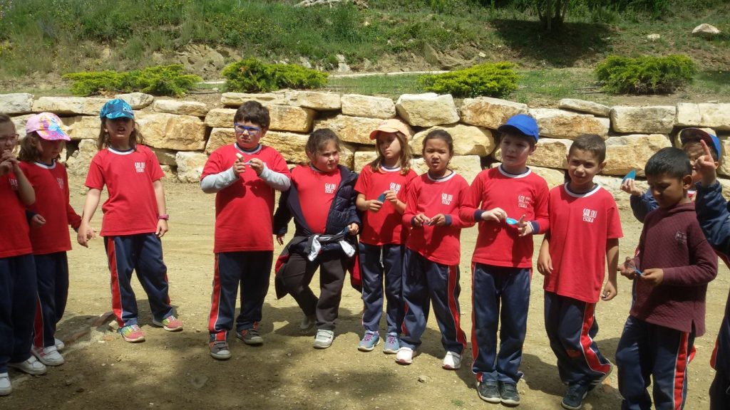 20170428_003109 (Medium)