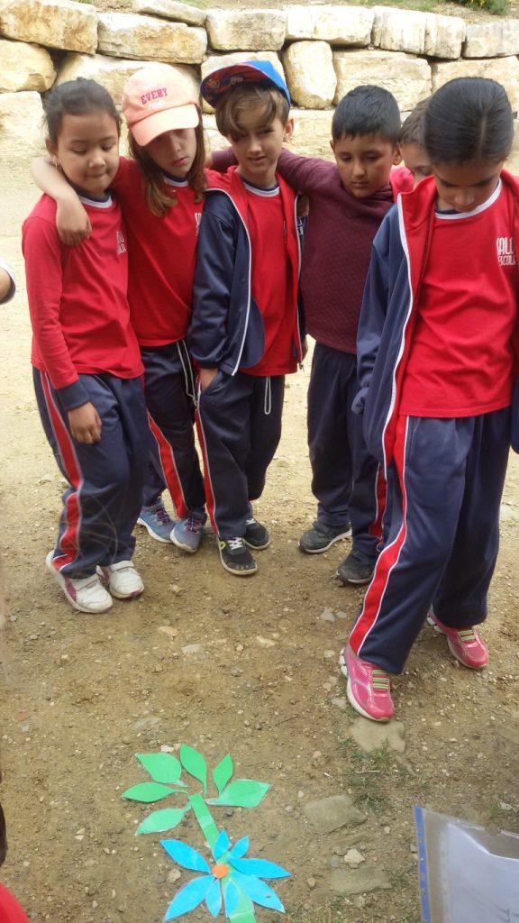 20170428_003412 (Medium)