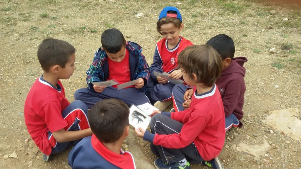 20170428_005929 (Medium)