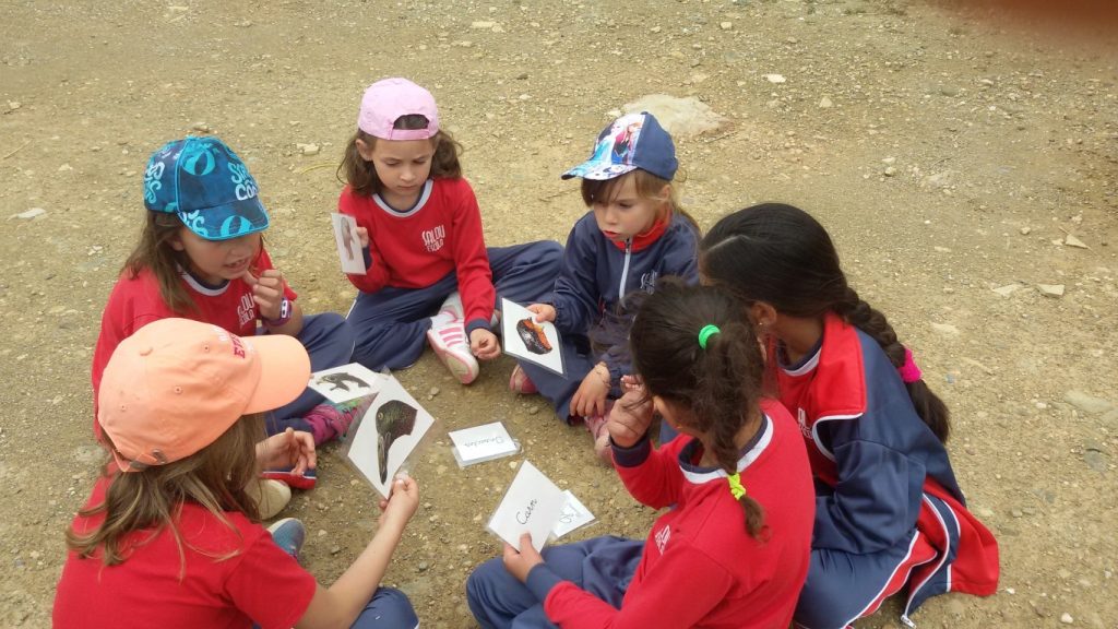 20170428_005937 (Medium)