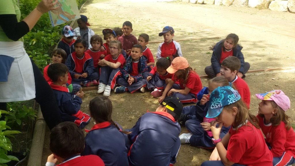 20170428_132556 (Medium)