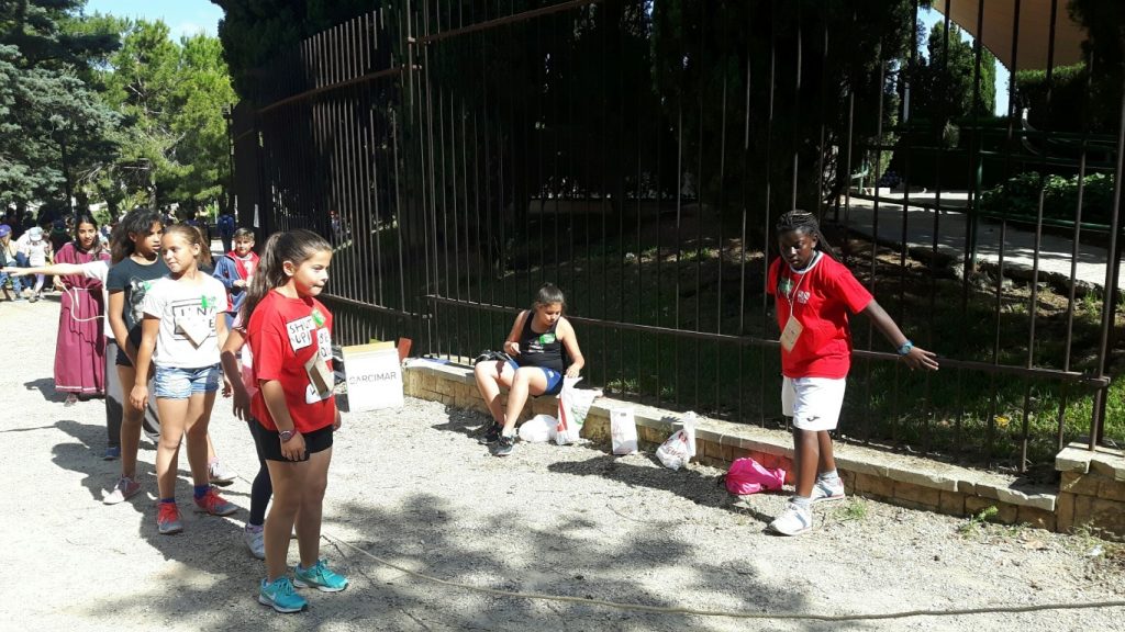 20170518_103835_resized (Medium)