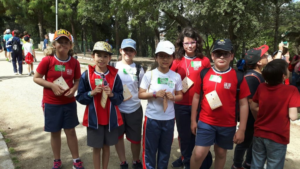 20170518_110513_resized_1 (Medium)