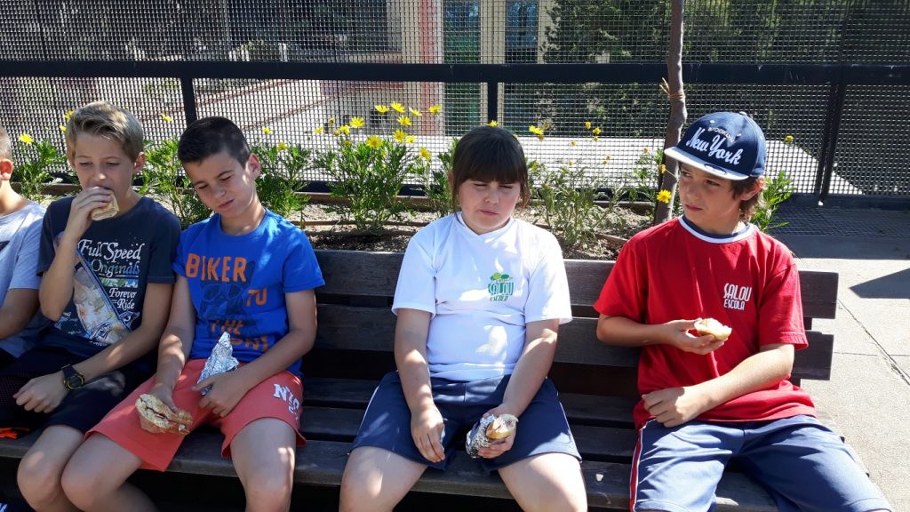 20170525_101647 (Medium)