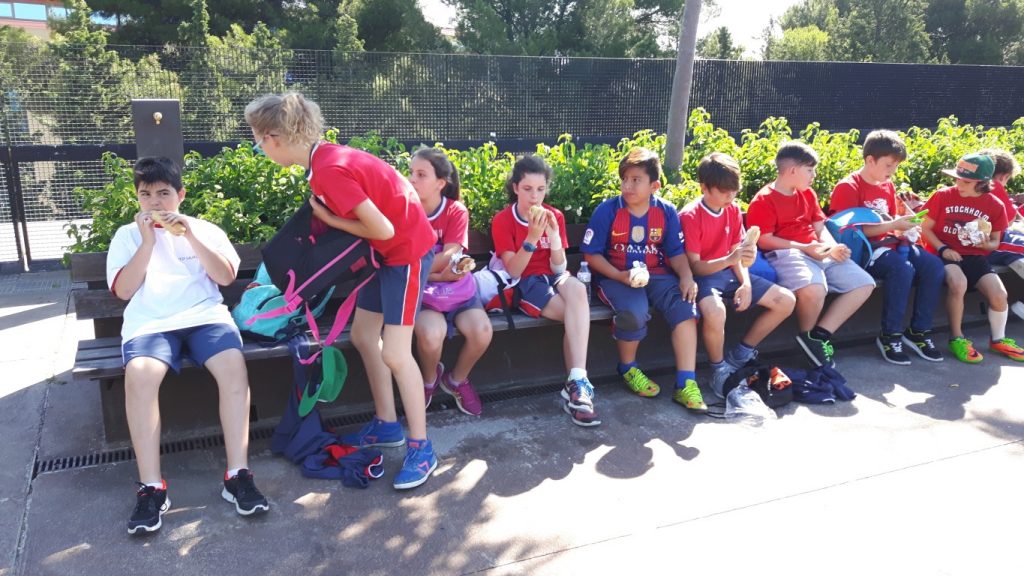 20170525_101752 (Medium)