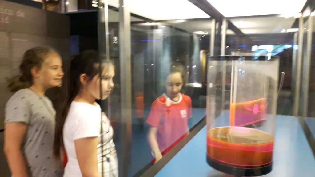 20170525_105247 (Medium)