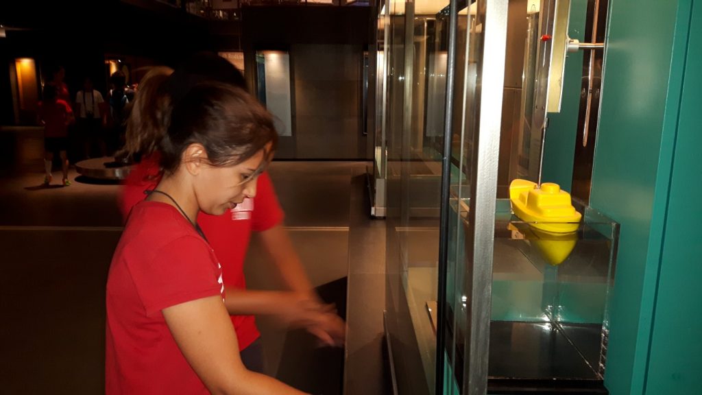 20170525_105609 (Medium)