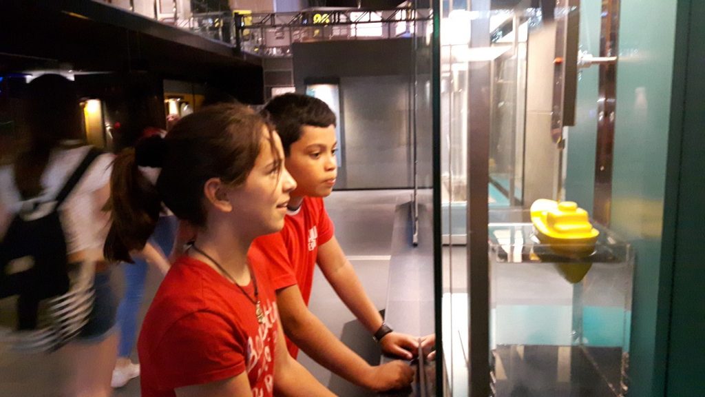 20170525_105618 (Medium)