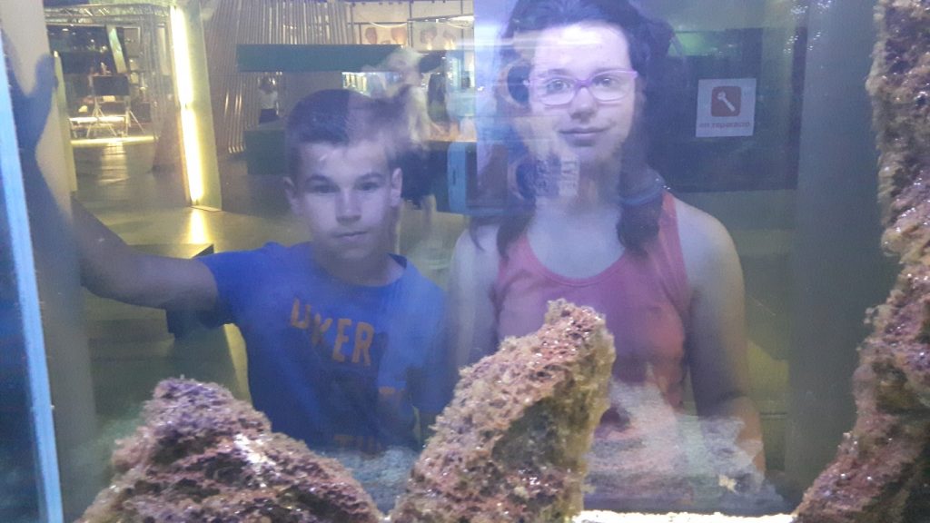 20170525_105819 (Medium)