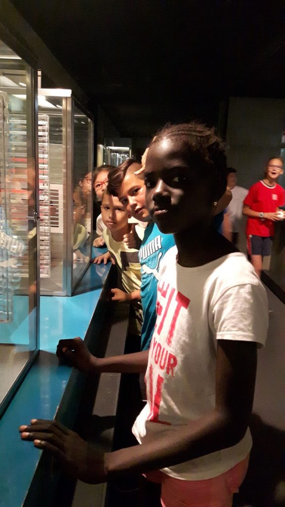 20170525_105842 (Medium)