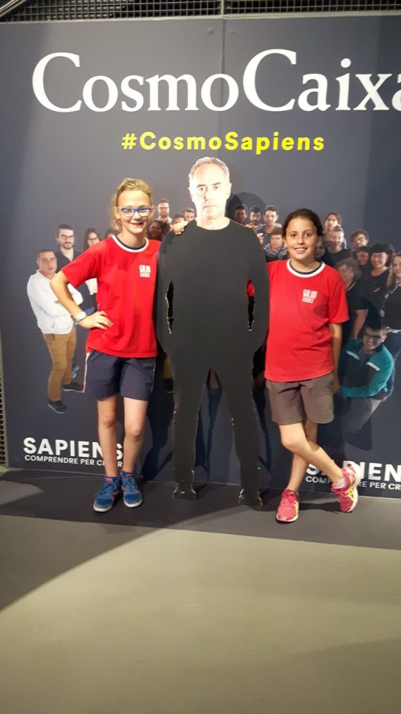 20170525_111355 (Medium)