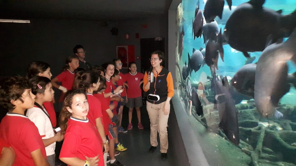 20170525_114019 (Medium)