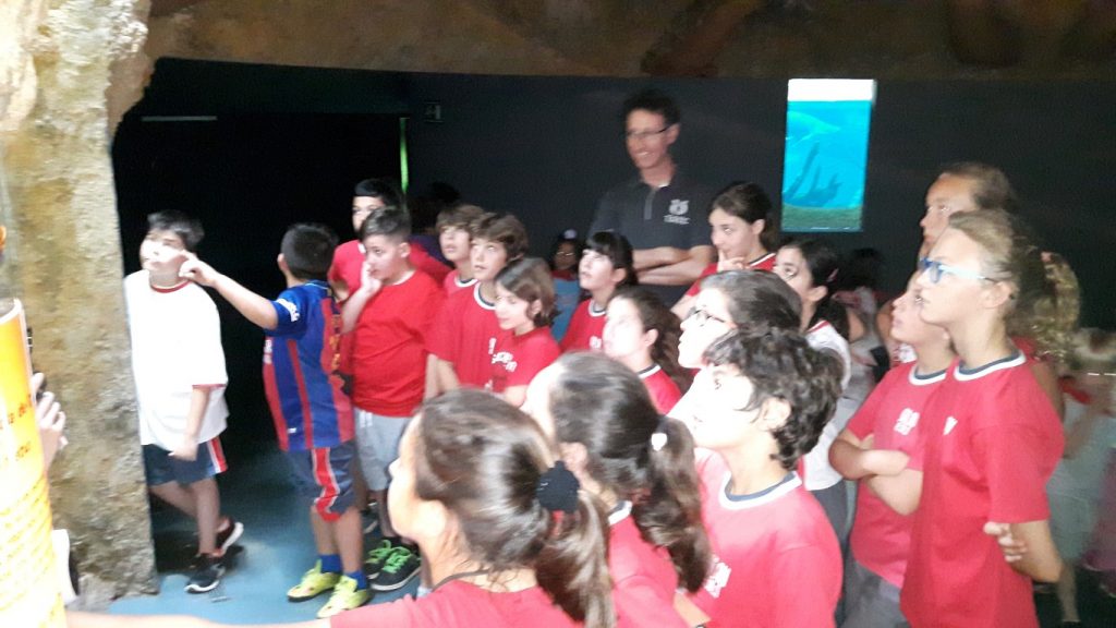 20170525_114204 (Medium)