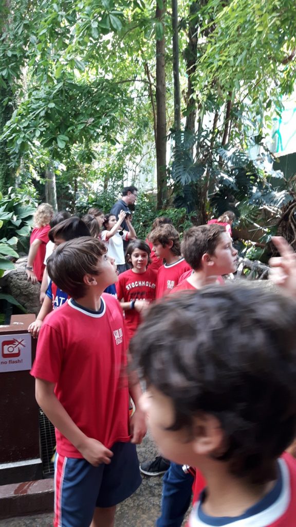 20170525_114826 (Medium)