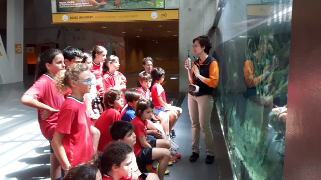 20170525_115140 (Medium)