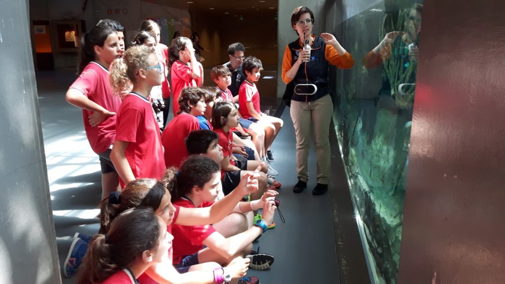 20170525_115143 (Medium)