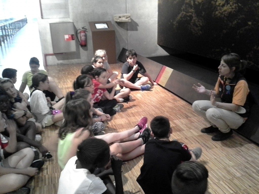 20170525_115253 (Medium)