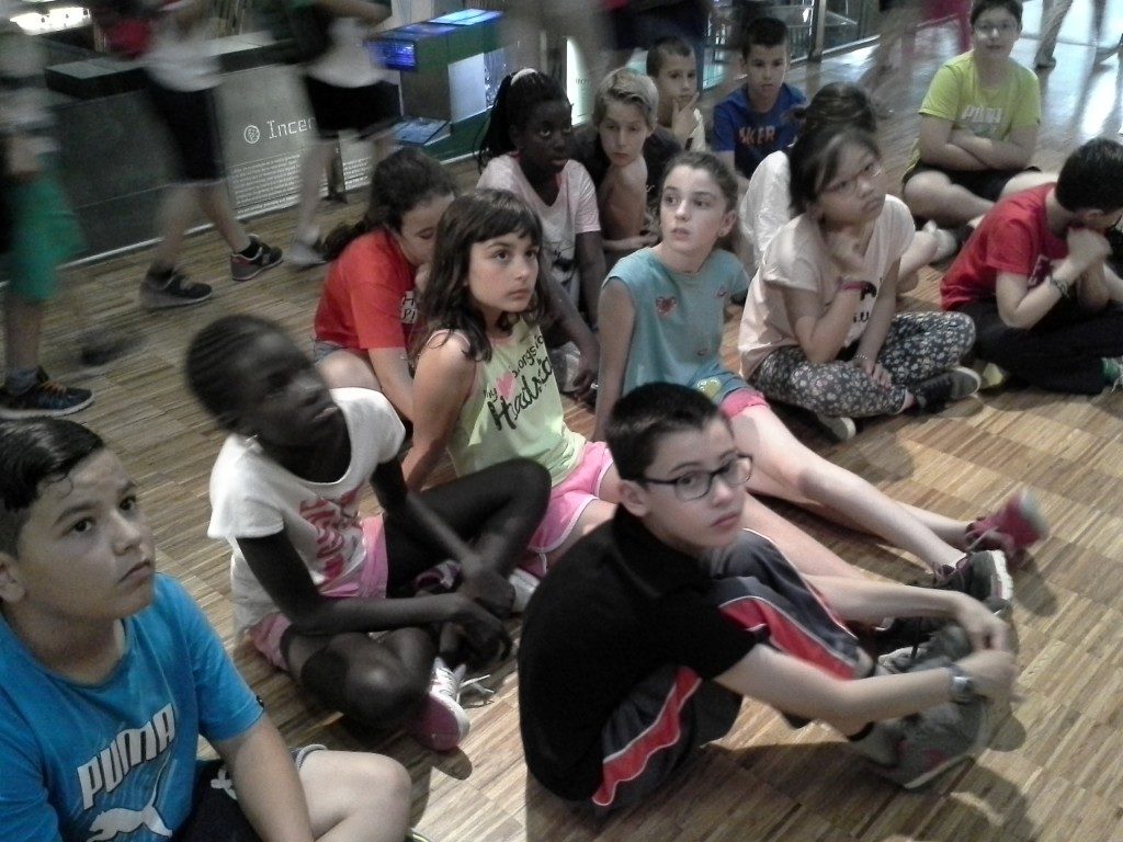 20170525_115326 (Medium)