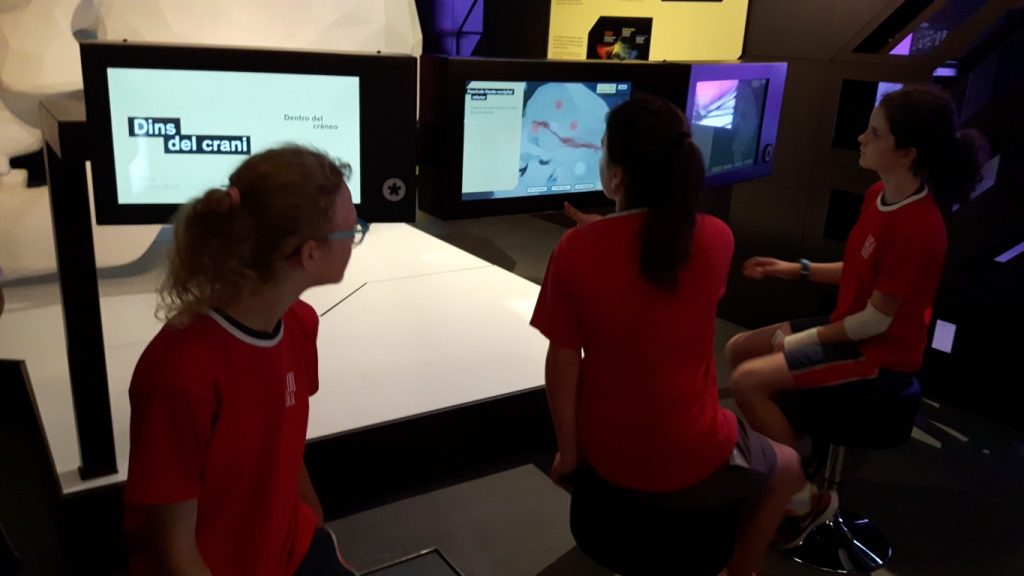 20170525_120247 (Medium)