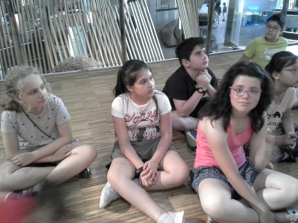 20170525_120332 (Medium)