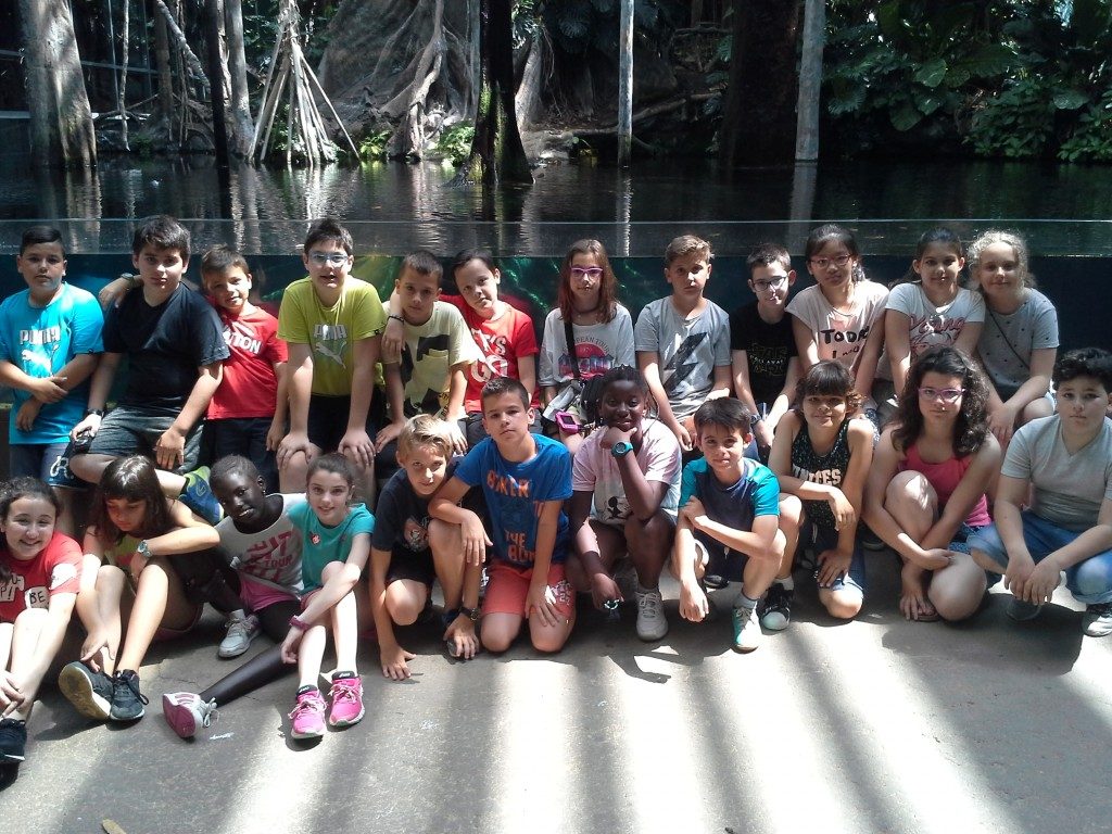 20170525_122235 (Medium)