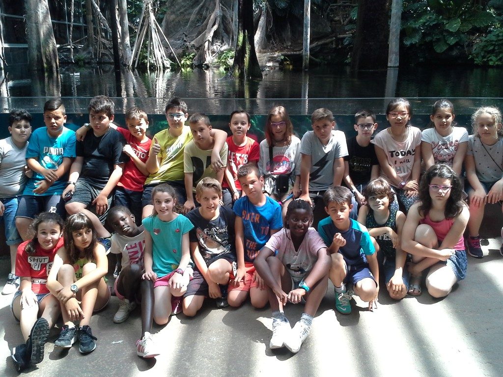 20170525_122332 (Medium)