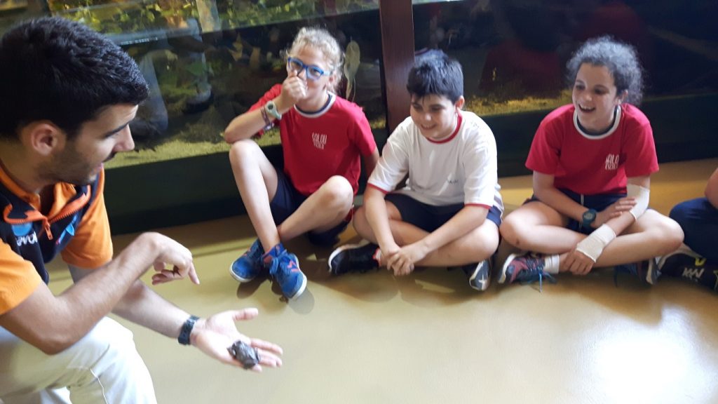 20170525_125604 (Medium)