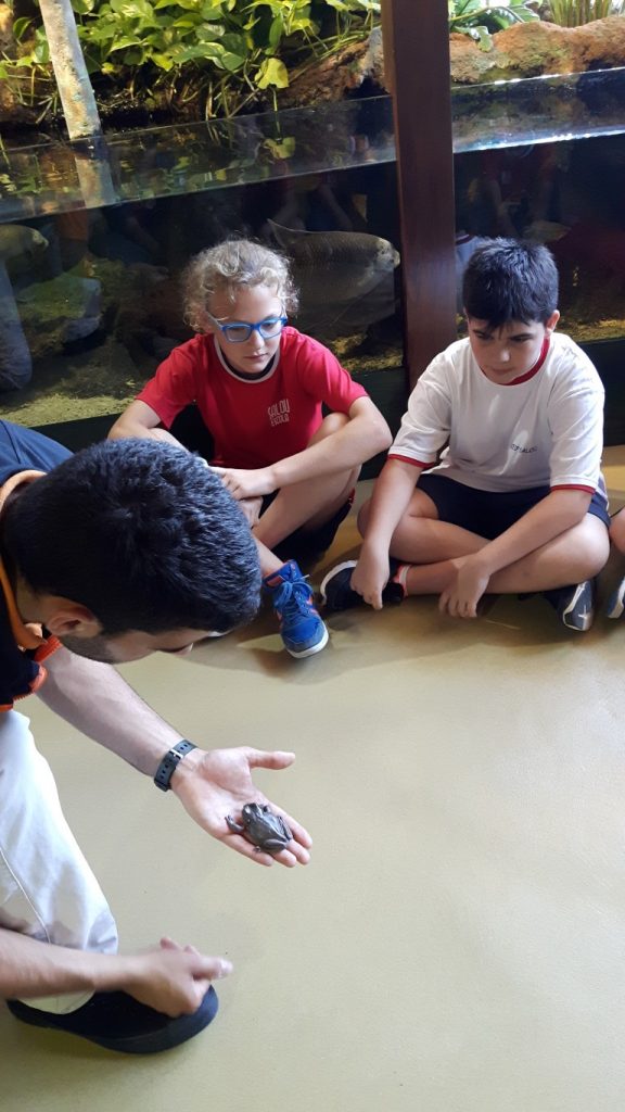 20170525_125648 (Medium)